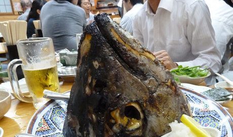 Yum, fish head!